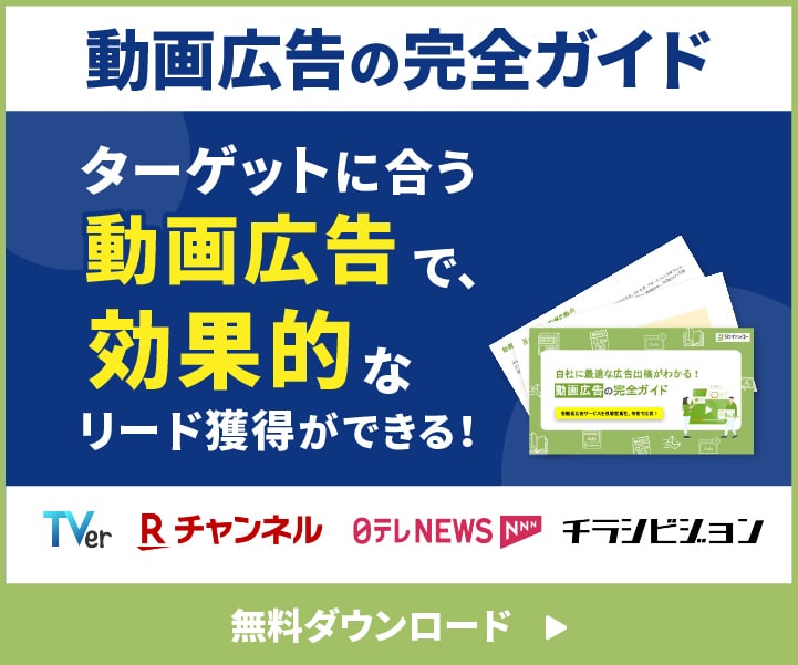 動画広告の完全ガイド